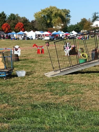 Mansfield Township Community Park