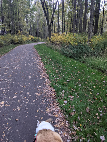 Mansfield Township Community Park