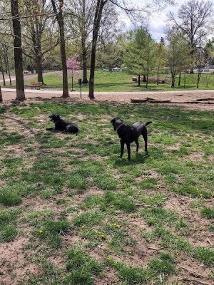 Godown Park