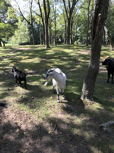 Hoyt Farm Nature Preserve