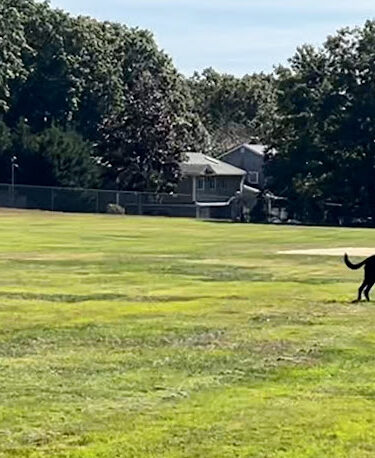Whitman Hollow Park