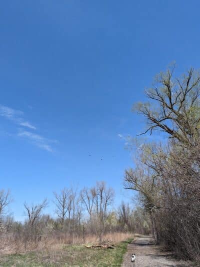Hiking Trailhead - Commerce Township, MI