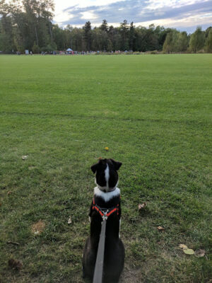 Dodge Park #5