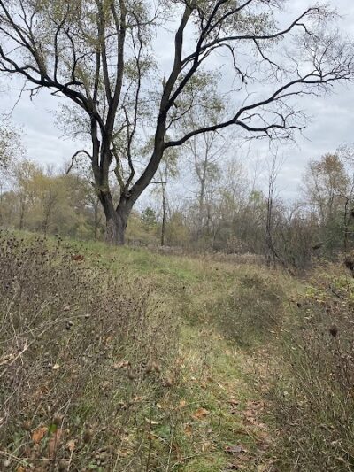 Victory Park - Commerce Township, MI
