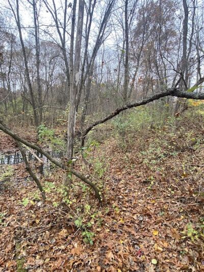 Victory Park - Commerce Township, MI
