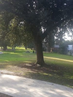 Baldwin Dog Park