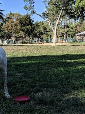 Baldwin Dog Park