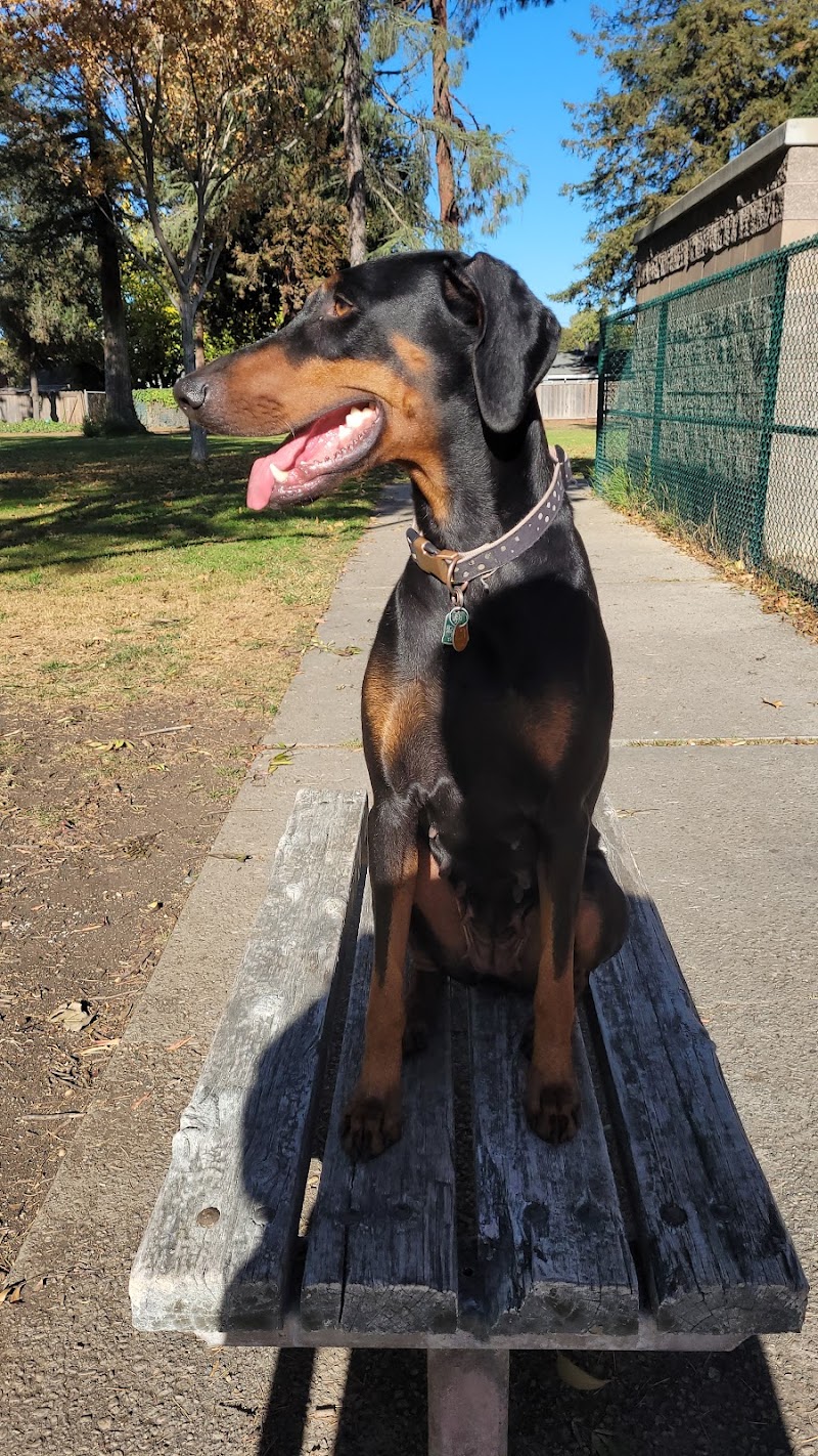 Baldwin Dog Park - Concord, CA
