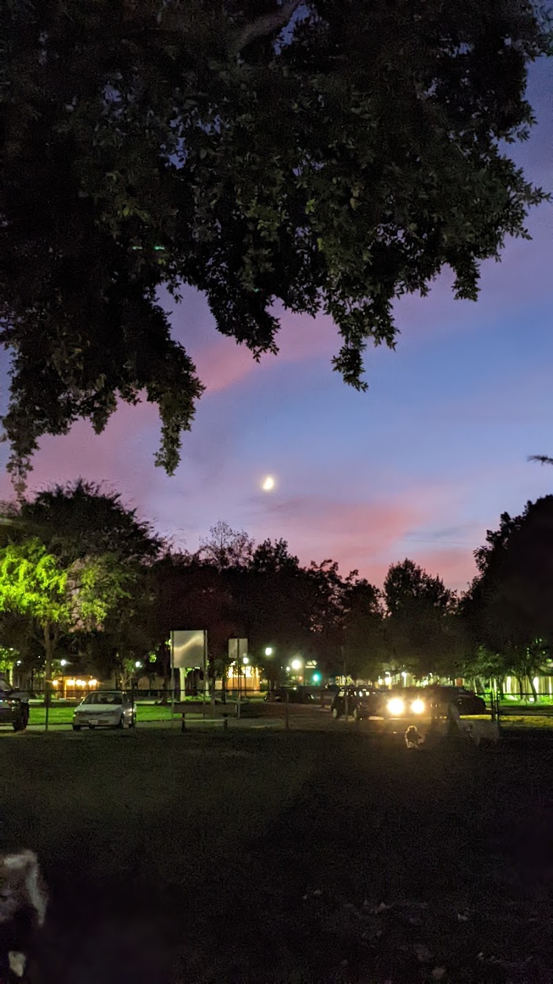 Baldwin Dog Park - Concord, CA
