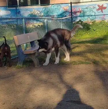 Baldwin Dog Park