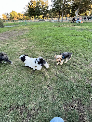 Newhall Dog Park