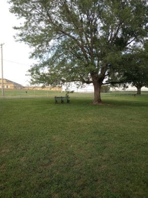 Dog Park - Concordia, KS