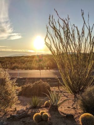 North Ranch - Escapees RV Parks