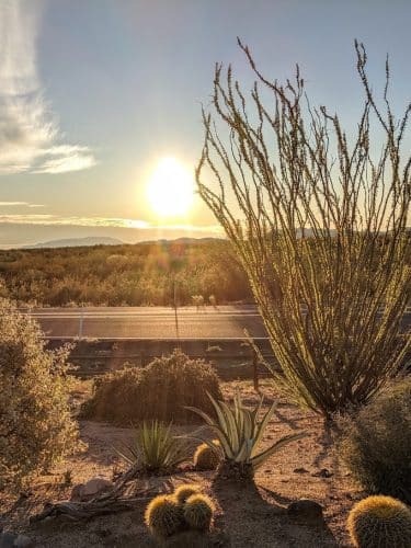North Ranch - Escapees RV Parks