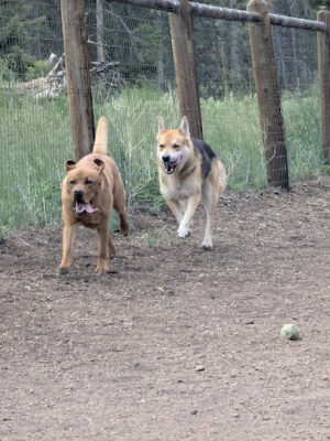 Beaver Ranch Park