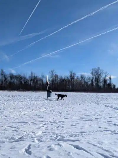 Conklin "Raceway" Dog Park - Conklin,