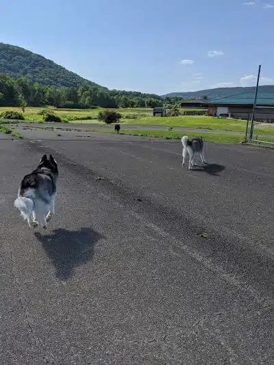 Conklin "Raceway" Dog Park - Conklin,