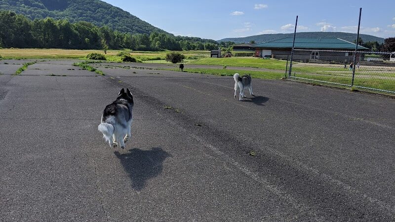 Conklin "Raceway" Dog Park - Conklin,
