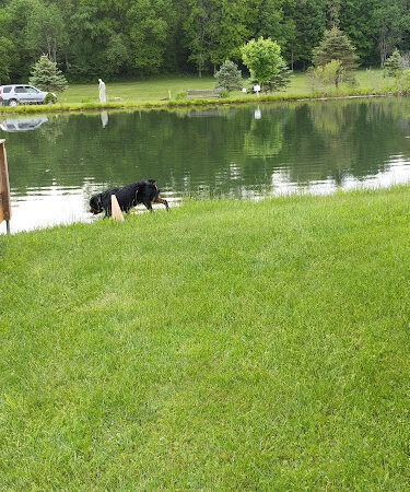 Conneaut Lake Bark Park