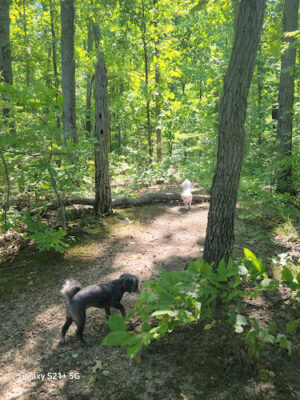 Mill Creek park