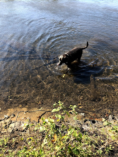 Riverview Park