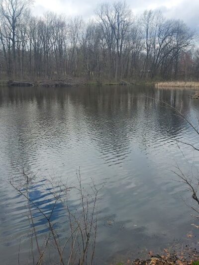 Mill Creek park - Constantine,