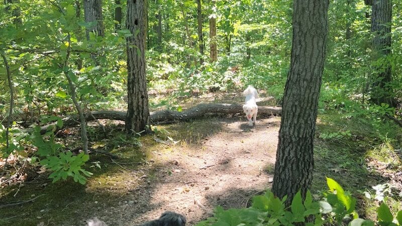 Mill Creek park - Constantine,
