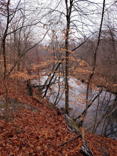 Mill Creek park - Constantine,