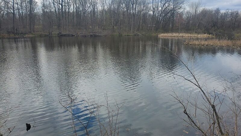 Mill Creek park - Constantine,