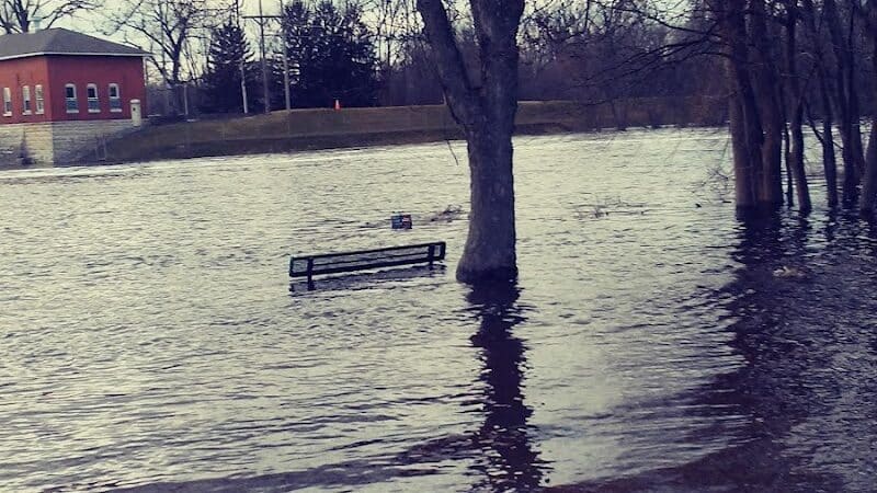 Riverview Park - Constantine,