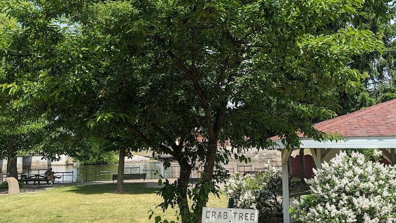 Shelby Park - Constantine,