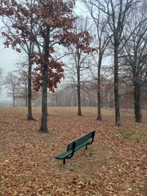 Conway's PetSafe Dog Park