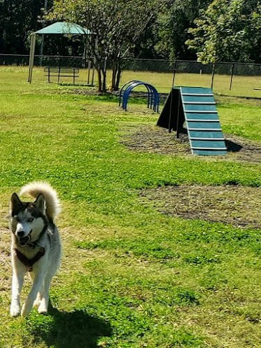 Conway Dog Park - Conway, SC