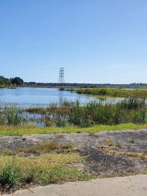 Conway Dog Park - Conway, SC