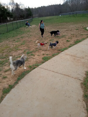 Cane Creek Dog Park