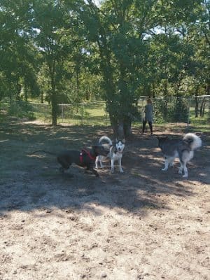 Bunker Hills Dog Park
