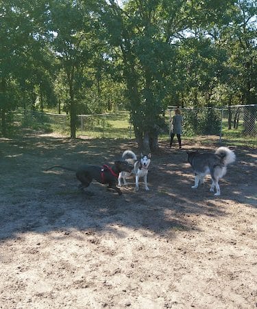 Bunker Hills Dog Park