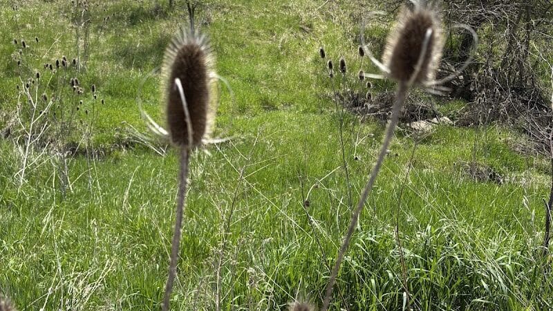 Eastmanville Farm County Park - Coopersville,