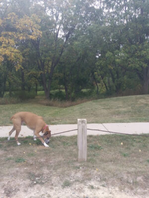 Polkton Township Sheridan Park