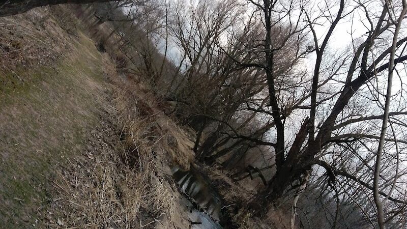 Polkton Township Sheridan Park - Coopersville,
