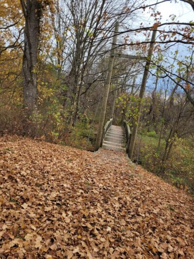 Polkton Township Sheridan Park - Coopersville,