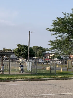 Dog Park at Tanner Park