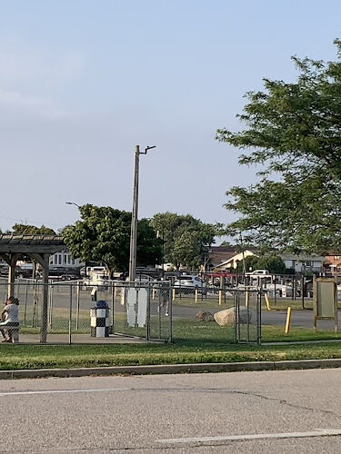 Dog Park at Tanner Park