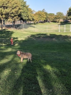 Corcoran Dog Park - Corcoran, CA