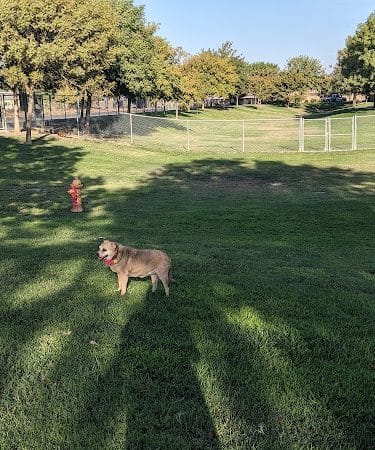 Corcoran Dog Park - Corcoran, CA