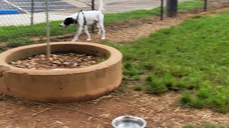 Cornelia Bark Park - Cornelia, GA