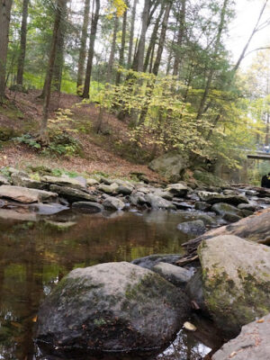 Wyantenock State Forest