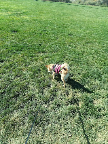 Cortez Dog Park - Cortez, CO