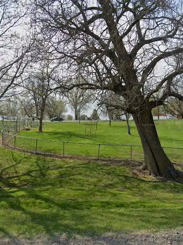 Prairie Paws Dog Park - Corydon, IA
