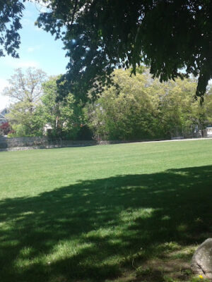 Bible Street Park